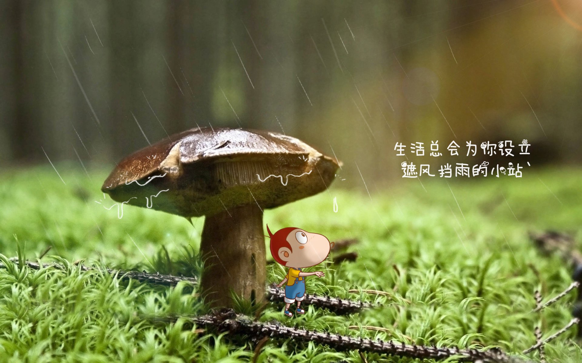 爱游戏电竞官网-凯尔特人稳扎稳打主场大捷，集锦凯尔特人