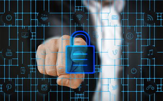 AYX GAME-赛事风险管理体系，体育赛事风险管理的主要内容