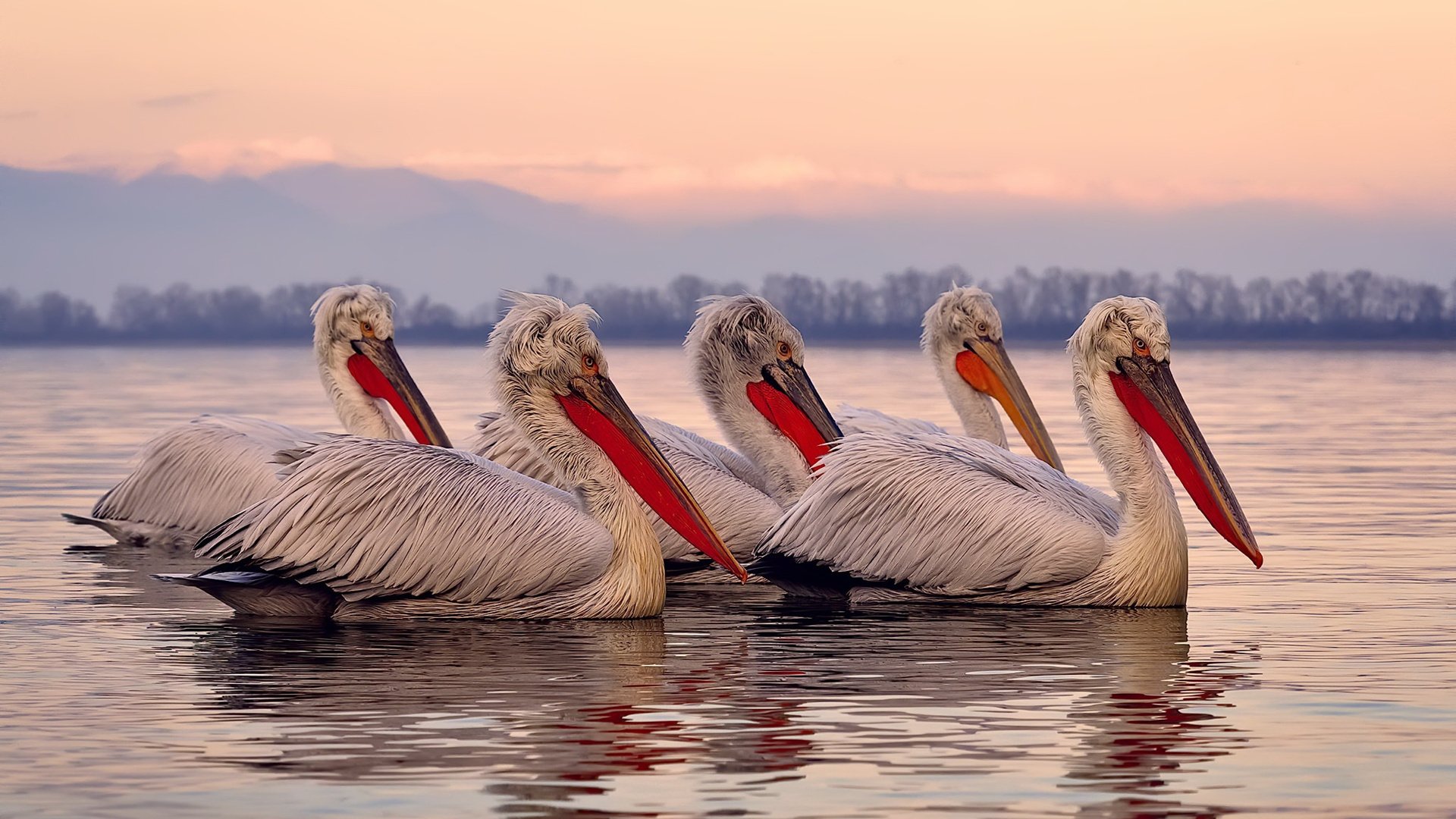爱游戏中国官方登录入口网站-中国女篮出征欧洲拉练 提升国际比赛经验，中国女篮出征亚洲杯