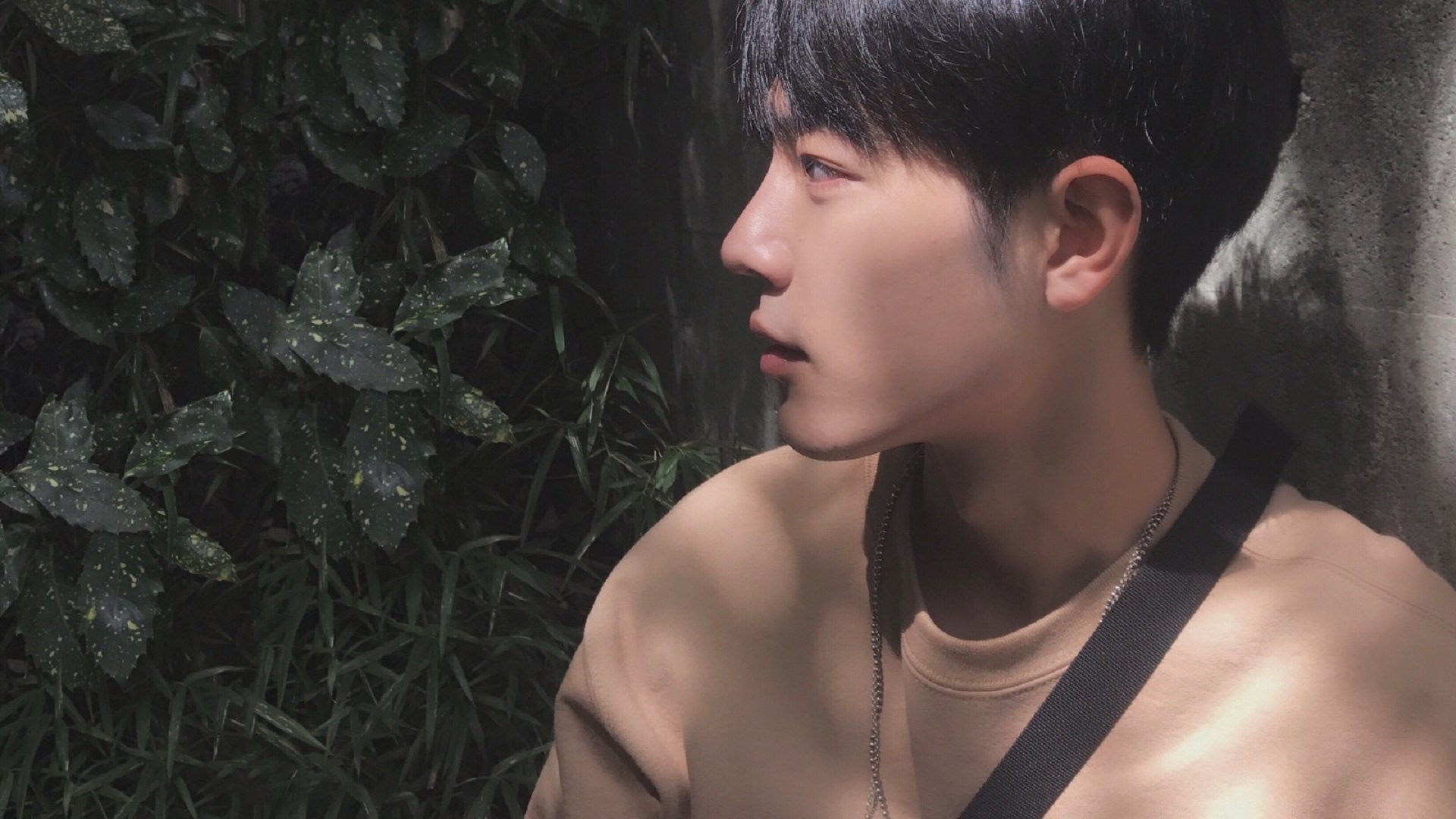 爱游戏登录入口-体育新闻中心发布体育用户生成内容合规手册，体育用户的行为分析