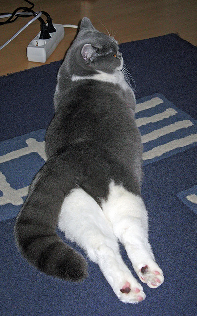 爱游戏体育官方网站-足球战术解析 为何高位逼抢成为主流，高位前踢