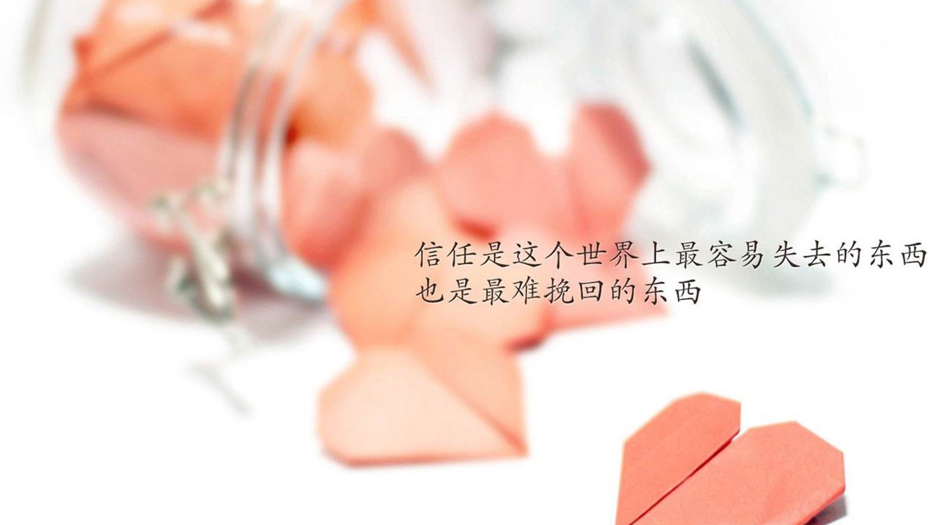 “马科斯·莫奇：阿根廷美洲狮队的防守铁闸，未来光明”