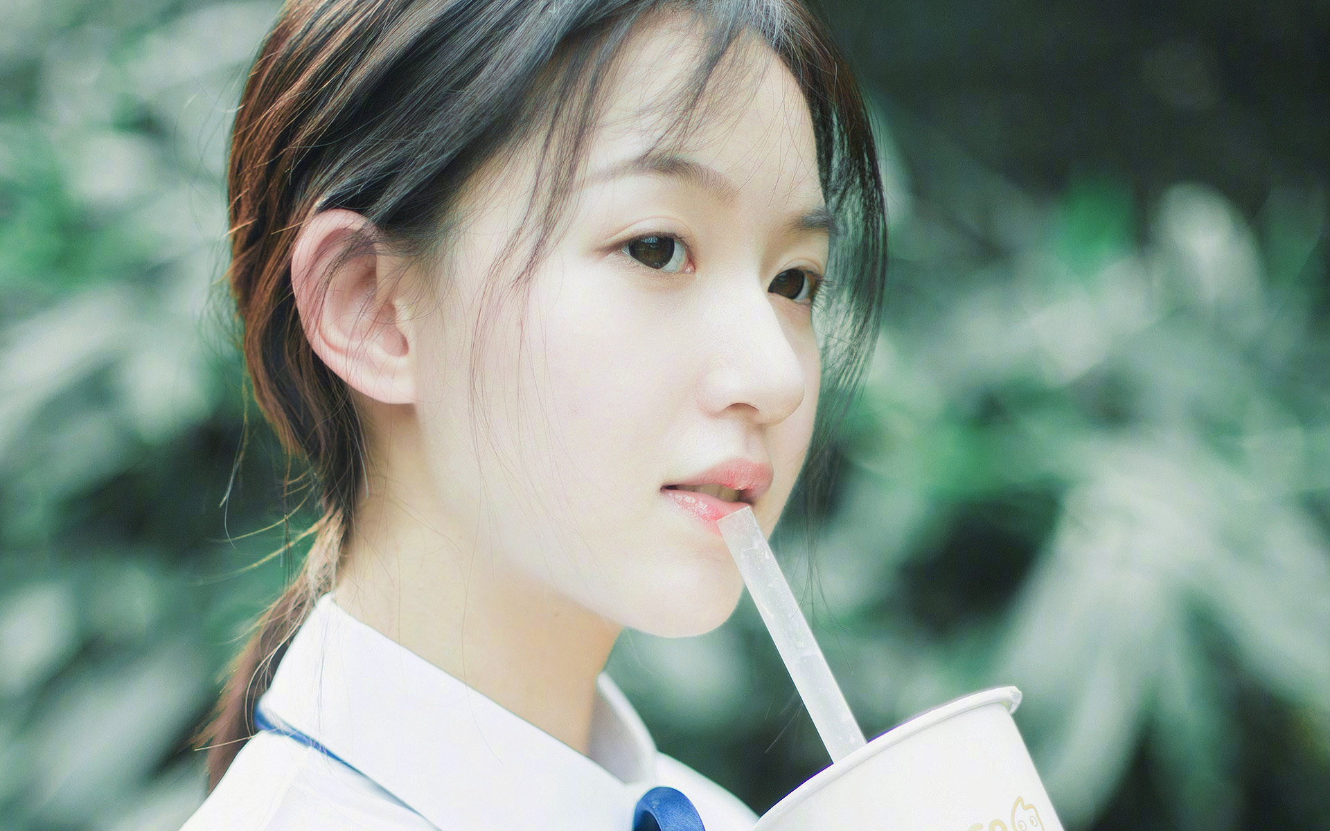 中国足球职业俱乐部球员转会市场活跃度上升,国内足球运动员转会费