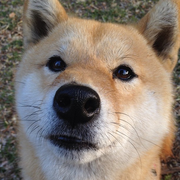 年轻教练崭露头角,战术革新引领新风向,年轻的教官是怎样的