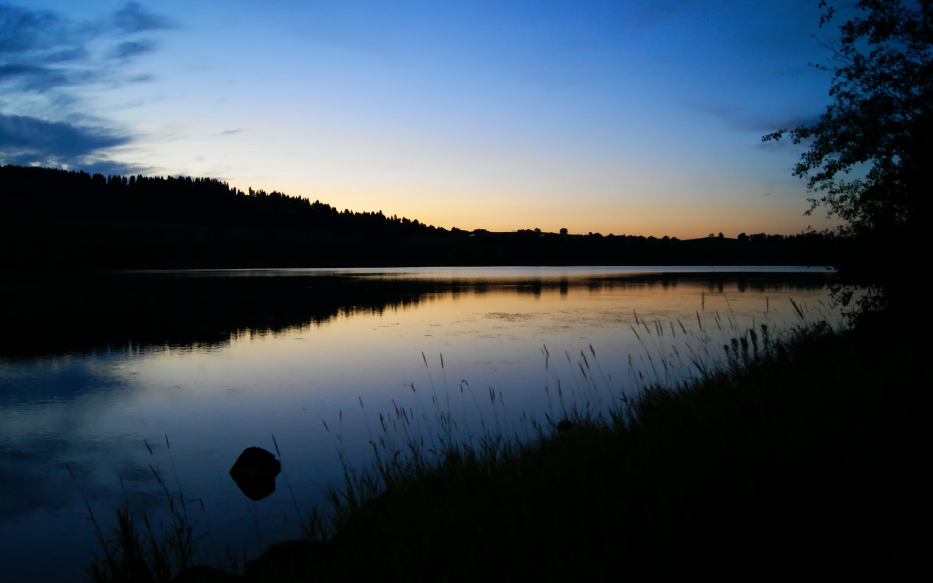 德甲青训培训体系创新,德甲青训政策