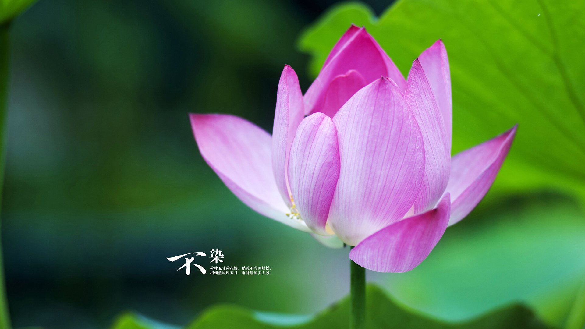 AIYOUXI.COM-篮网球员发布训练视频引发网友模仿热潮，篮网队训练